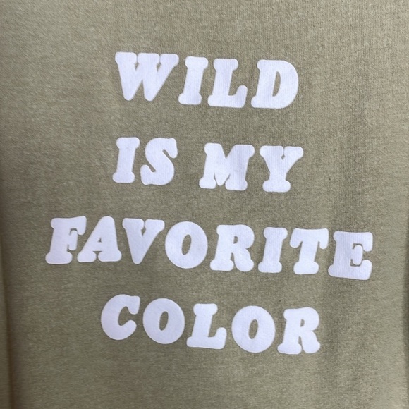 SOLD Wildfox | Wild Is My Favorite Color Green Beach Jumper Sweatshirt Size S - Picture 3 of 6